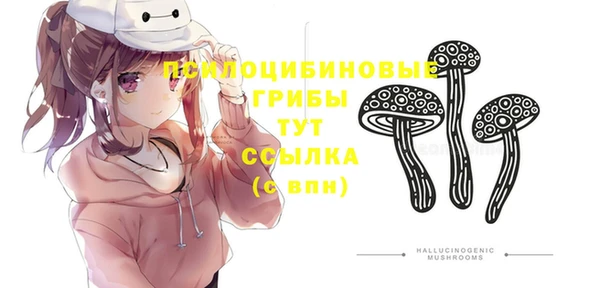 стаф Балабаново